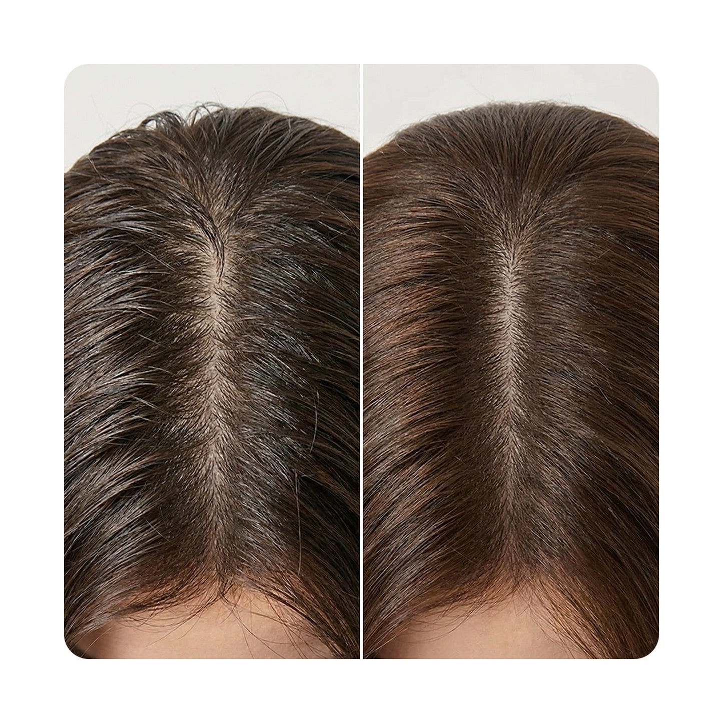 day:three no water shampoo 60ml
