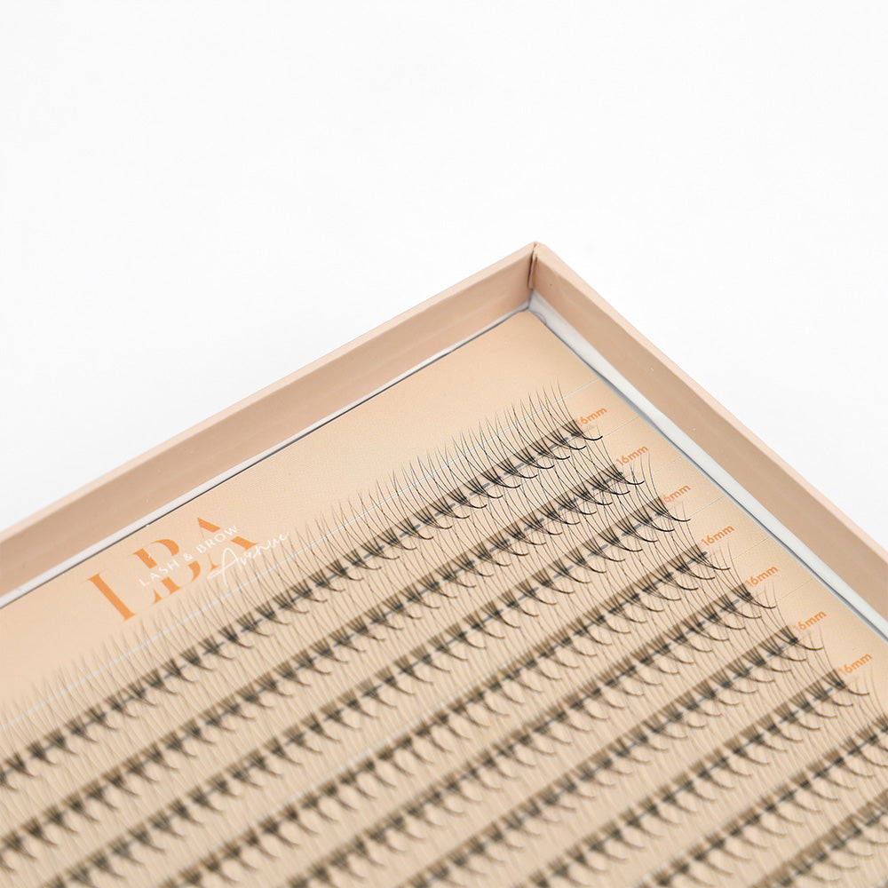 LBA Promade XL Volume Lashes - 0.07mm Mixed / 4D / D