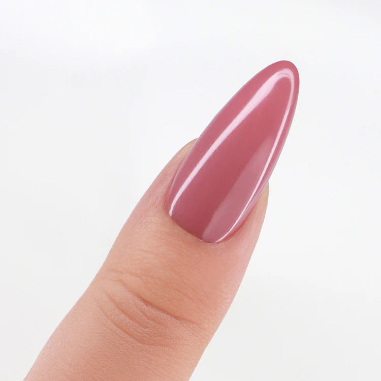 LeChat HEMA Free Perfect Match Pro Gel & Nail Lacquer Duo Dried Roses 15ml