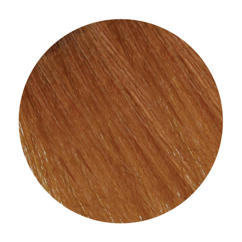 Wildcolor 8.8 8WB Warm Brown Light Blonde