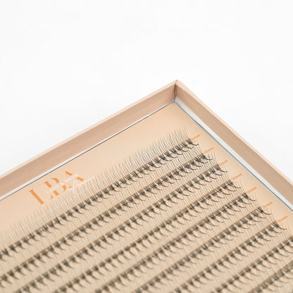 LBA Promade XL Volume Lashes - 0.07mm Mixed / 4D / CC