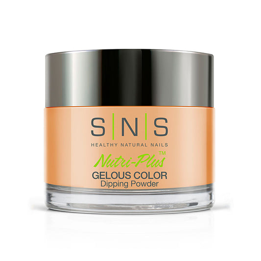 SNS Dipping Powder NC21 Pardon Me?