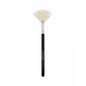Aleigh F9 Large Fan Brush
