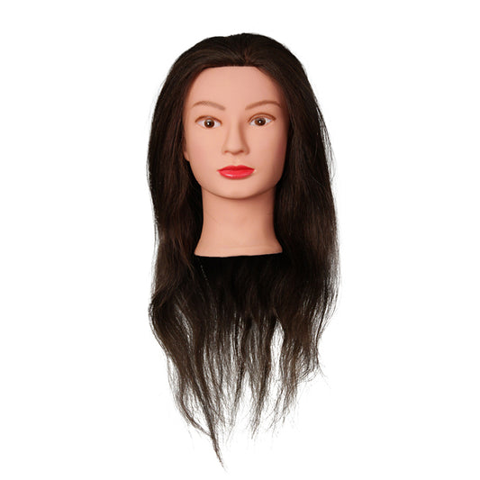 AMR Professional Mannequin Head Nara