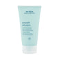 Aveda Smooth Infusion Smoothing Masque 150ml