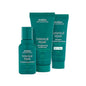 Aveda Botanical Repair Trio Light Mini Pack