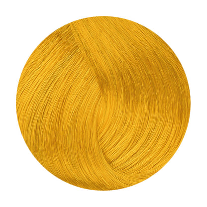 De Lorenzo Novacolor 60ml