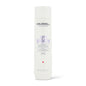 Goldwell Dualsenses Just Smooth Taming Shampoo 300ml