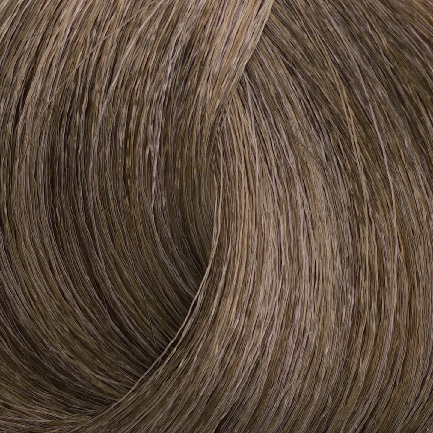 Harvest Colour 100ml