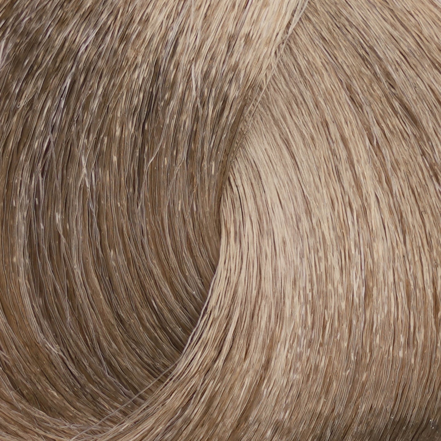 Harvest Colour 100ml