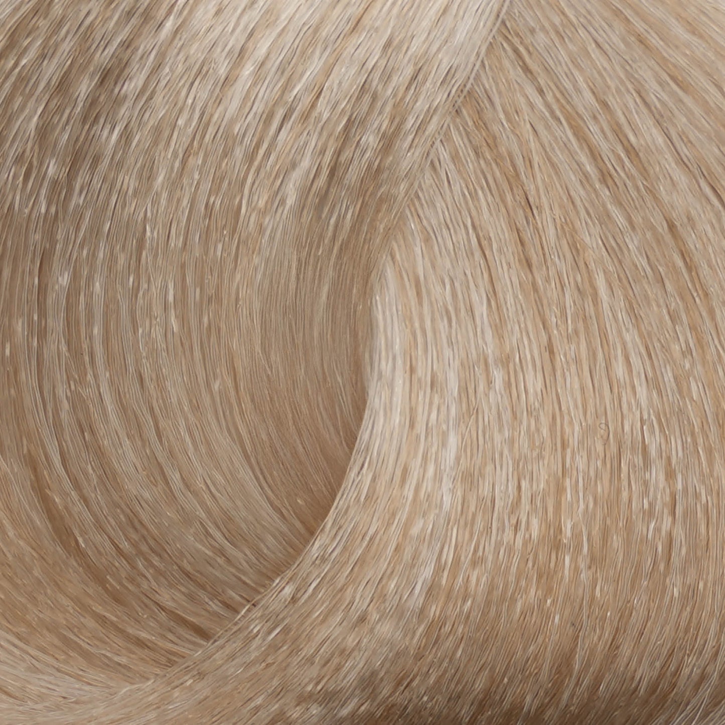 Harvest Colour 100ml