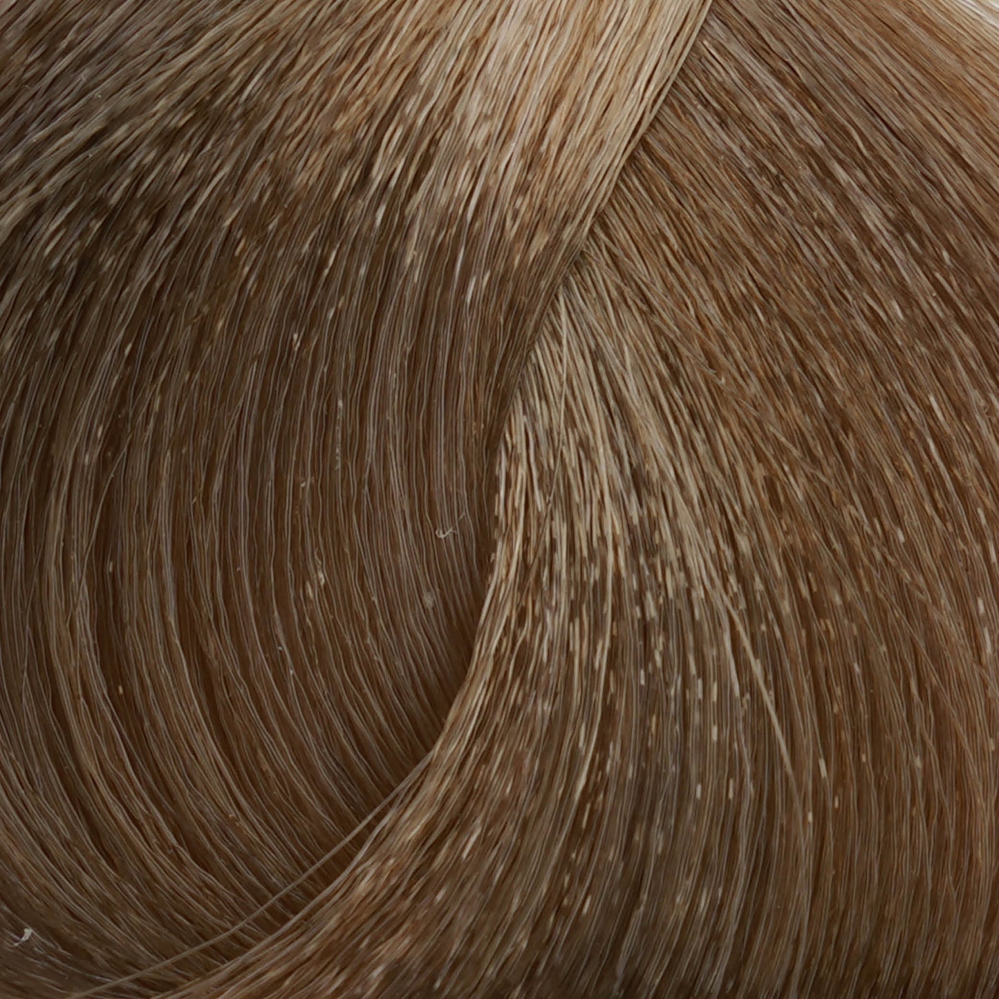 Harvest Colour 100ml