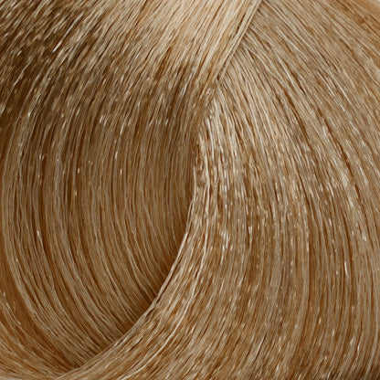 Harvest Colour 100ml