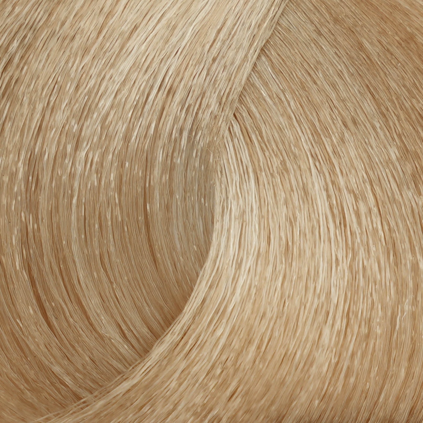 Harvest Colour 100ml