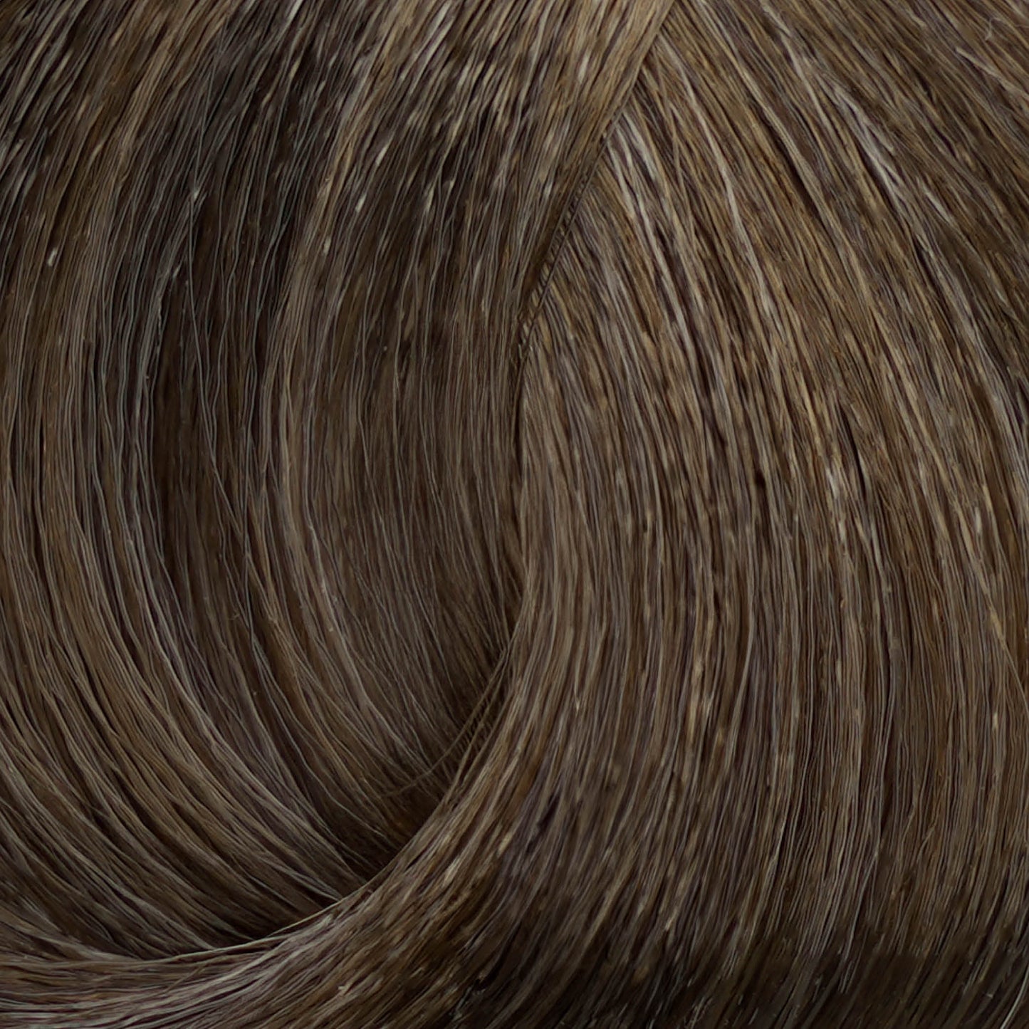 Harvest Colour 100ml