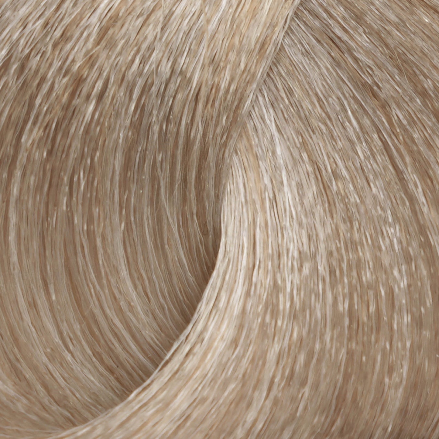 Harvest Colour 100ml