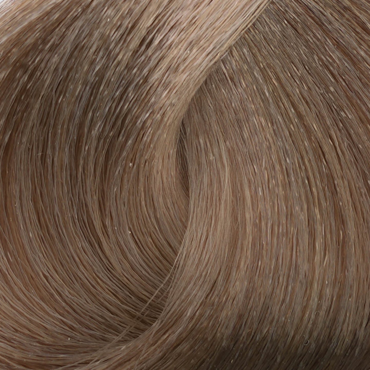 Harvest Colour 100ml