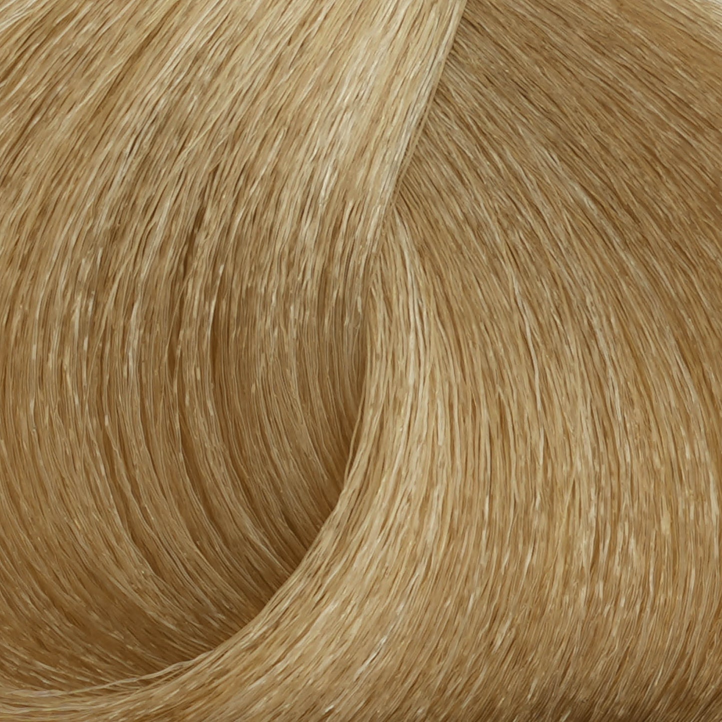 Harvest Colour 100ml