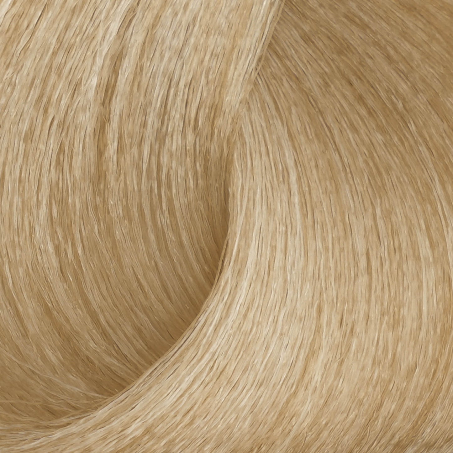 Harvest Colour 100ml