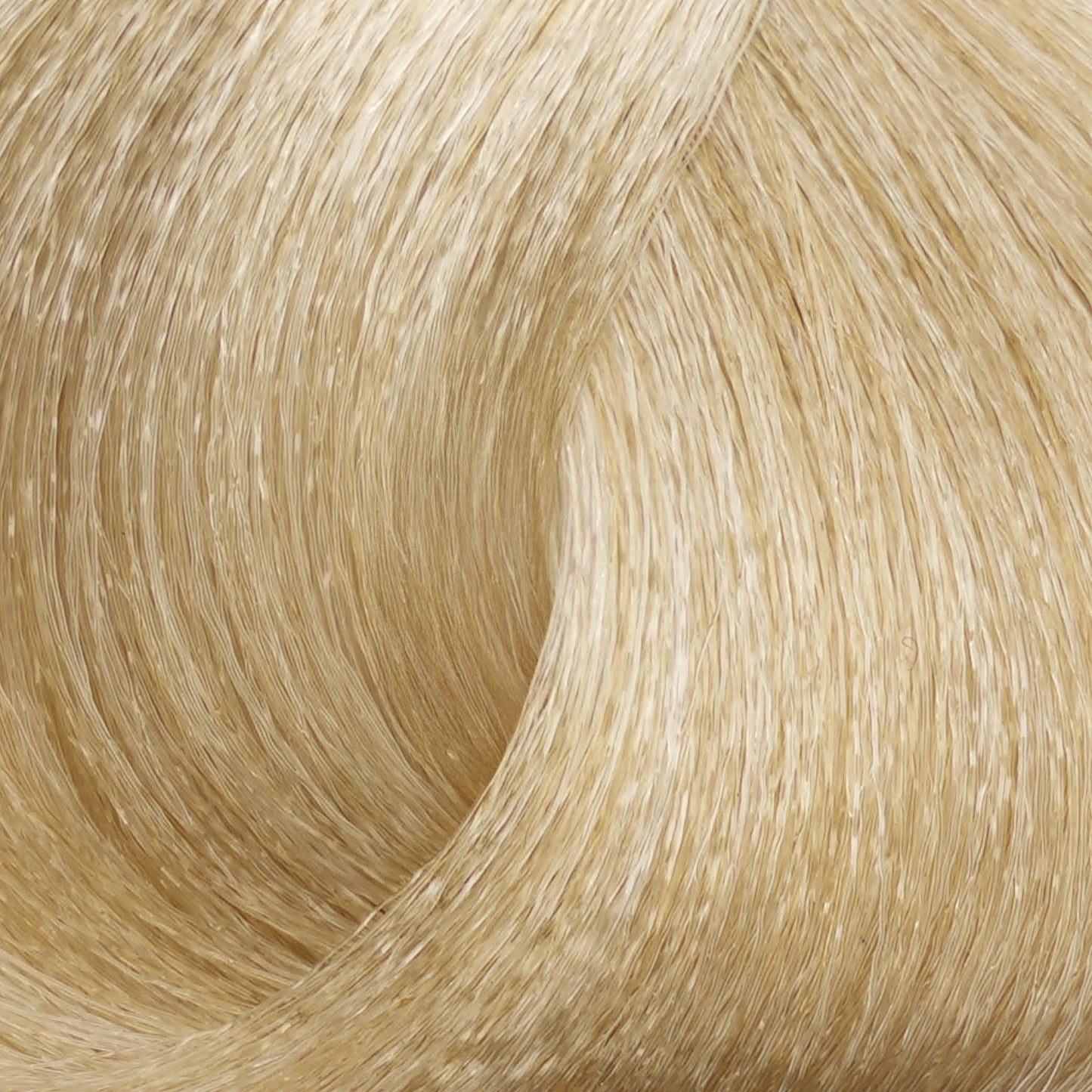 Harvest Colour 100ml