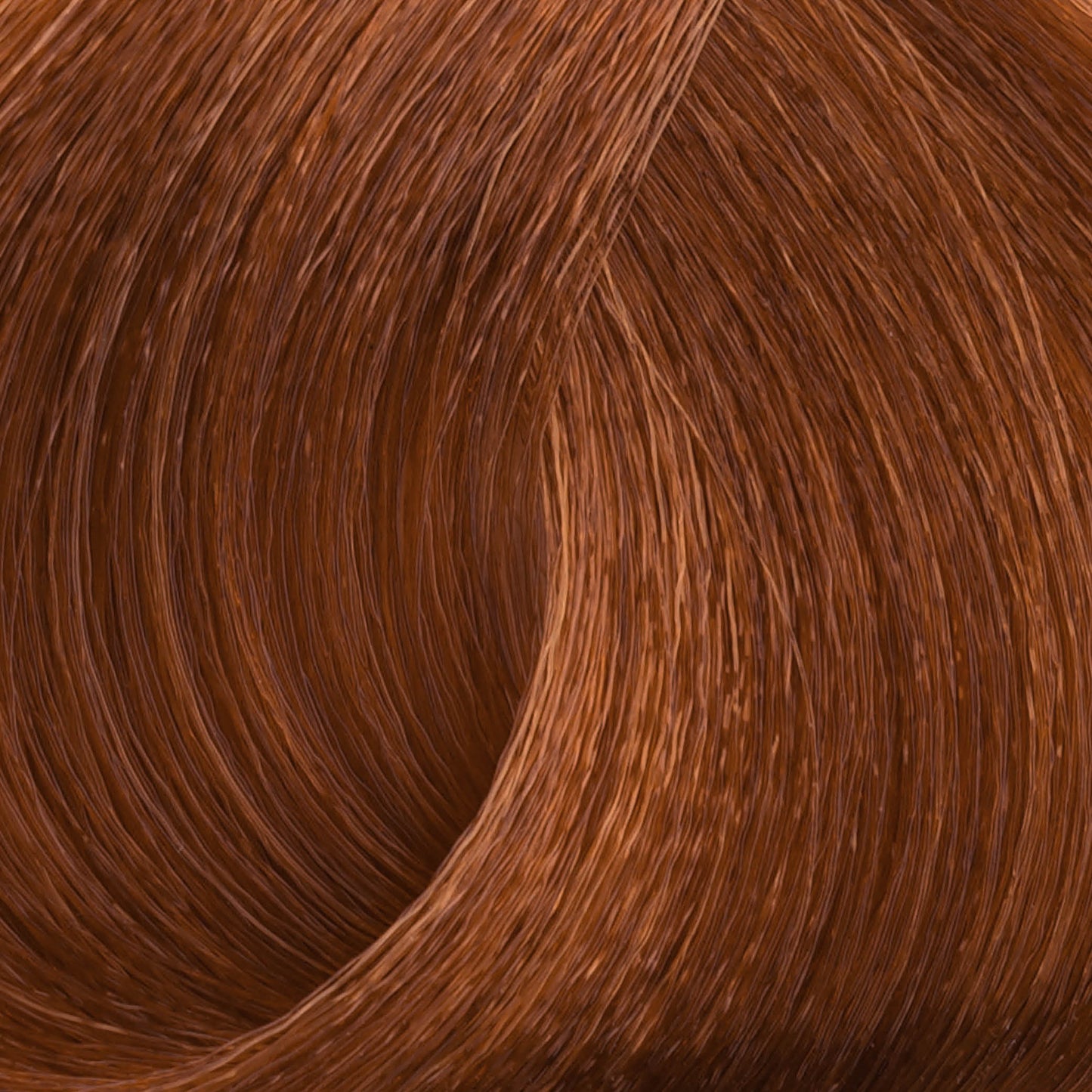 Harvest Colour 100ml