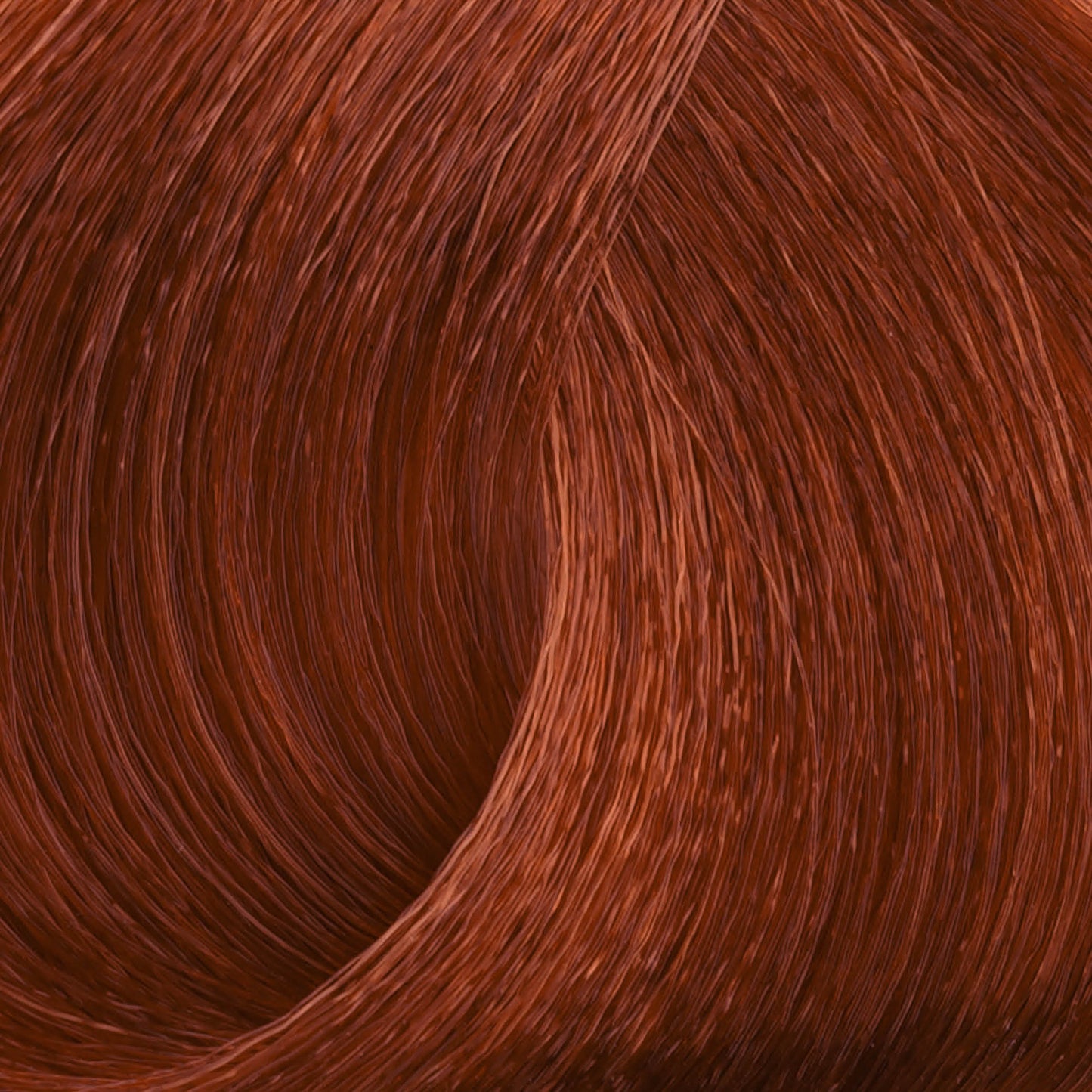 Harvest Colour 100ml