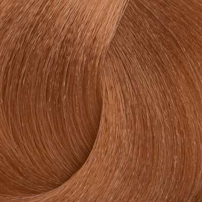 Harvest Colour 100ml