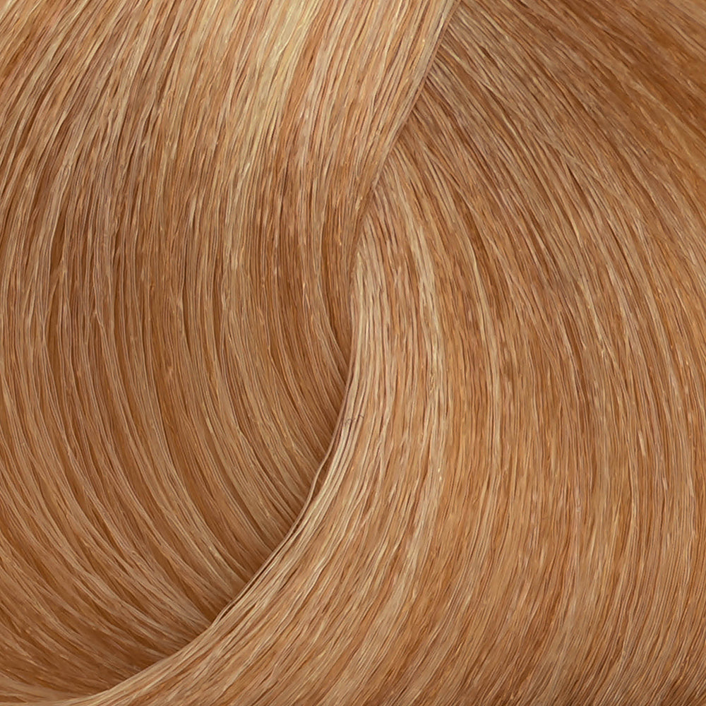 Harvest Colour 100ml