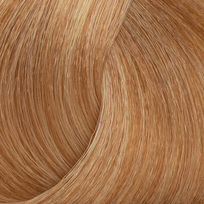 Harvest Colour 100ml