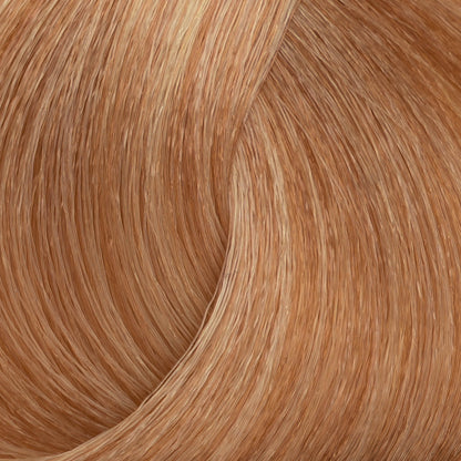 Harvest Colour 100ml