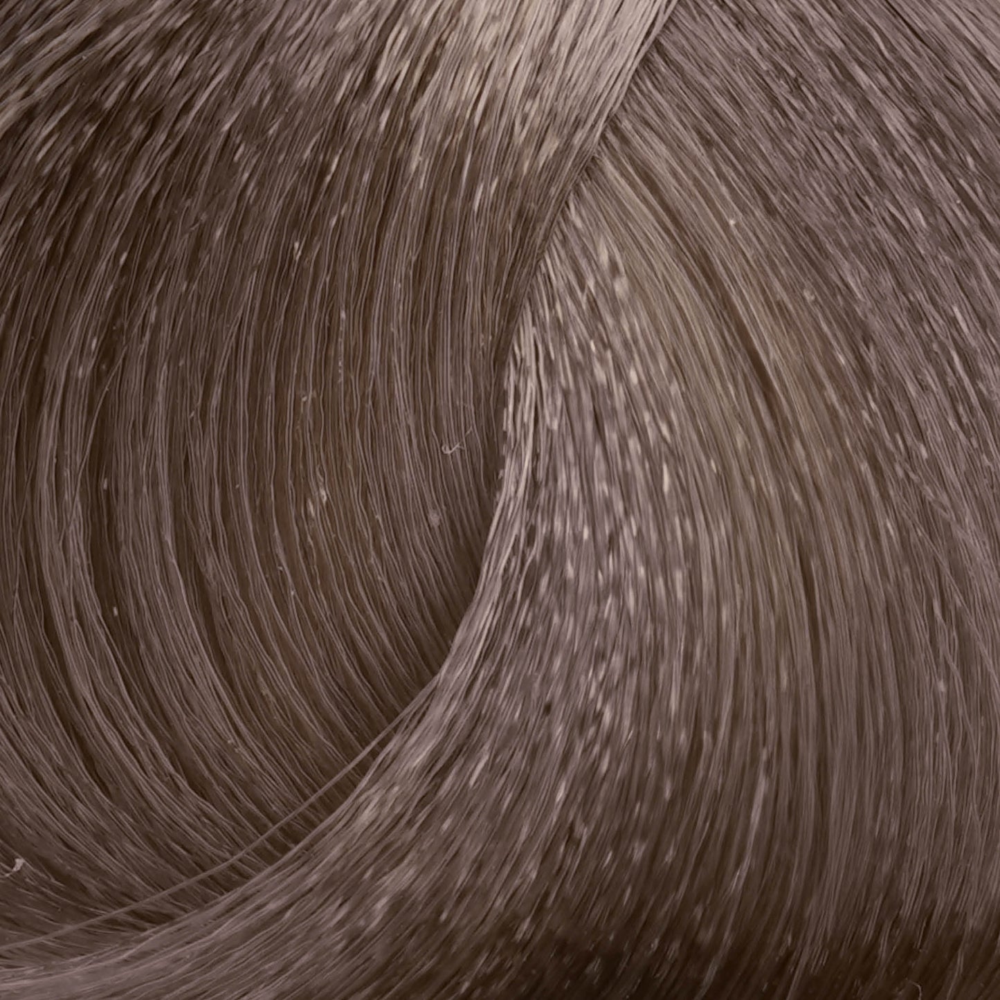 Harvest Colour 100ml