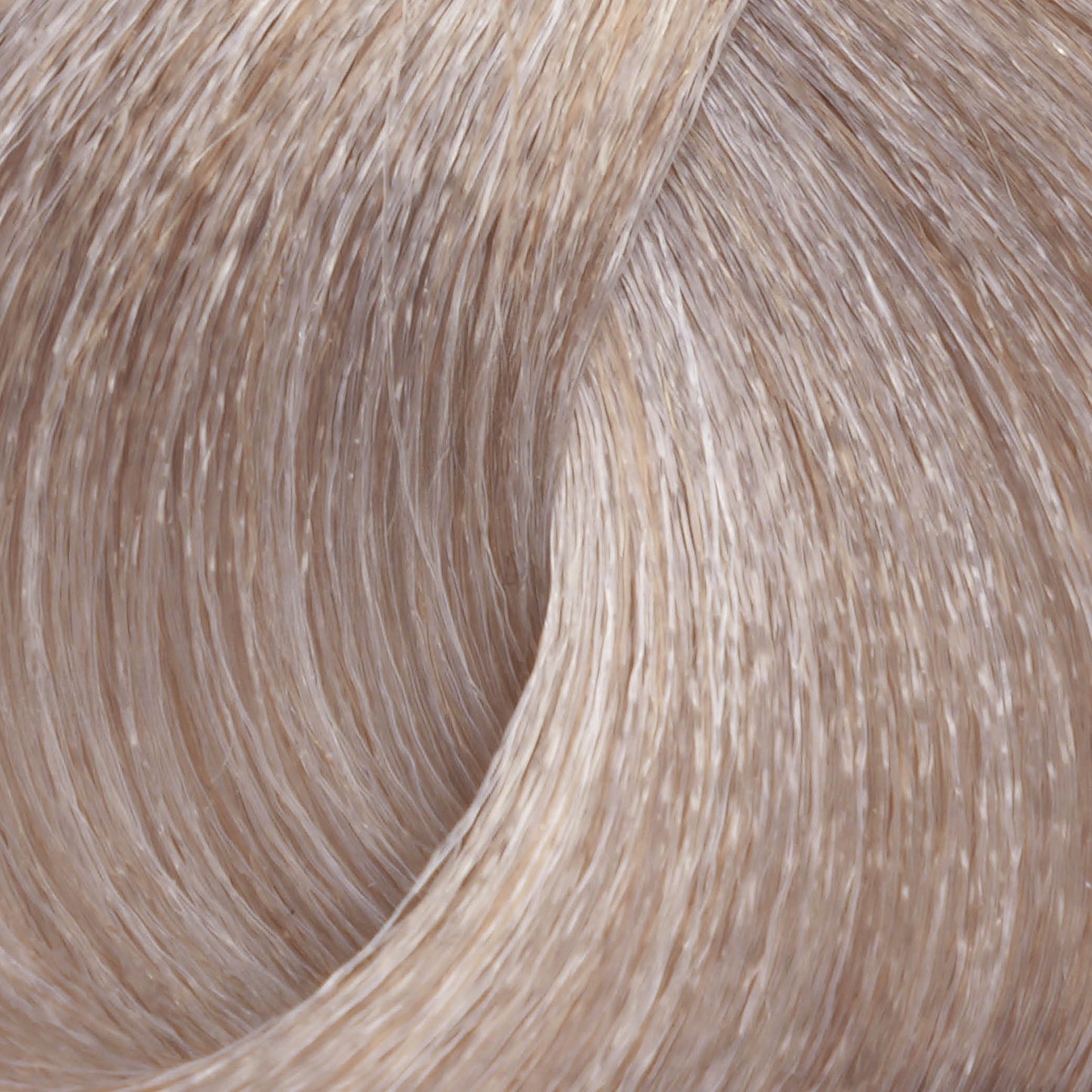 Harvest Colour 100ml