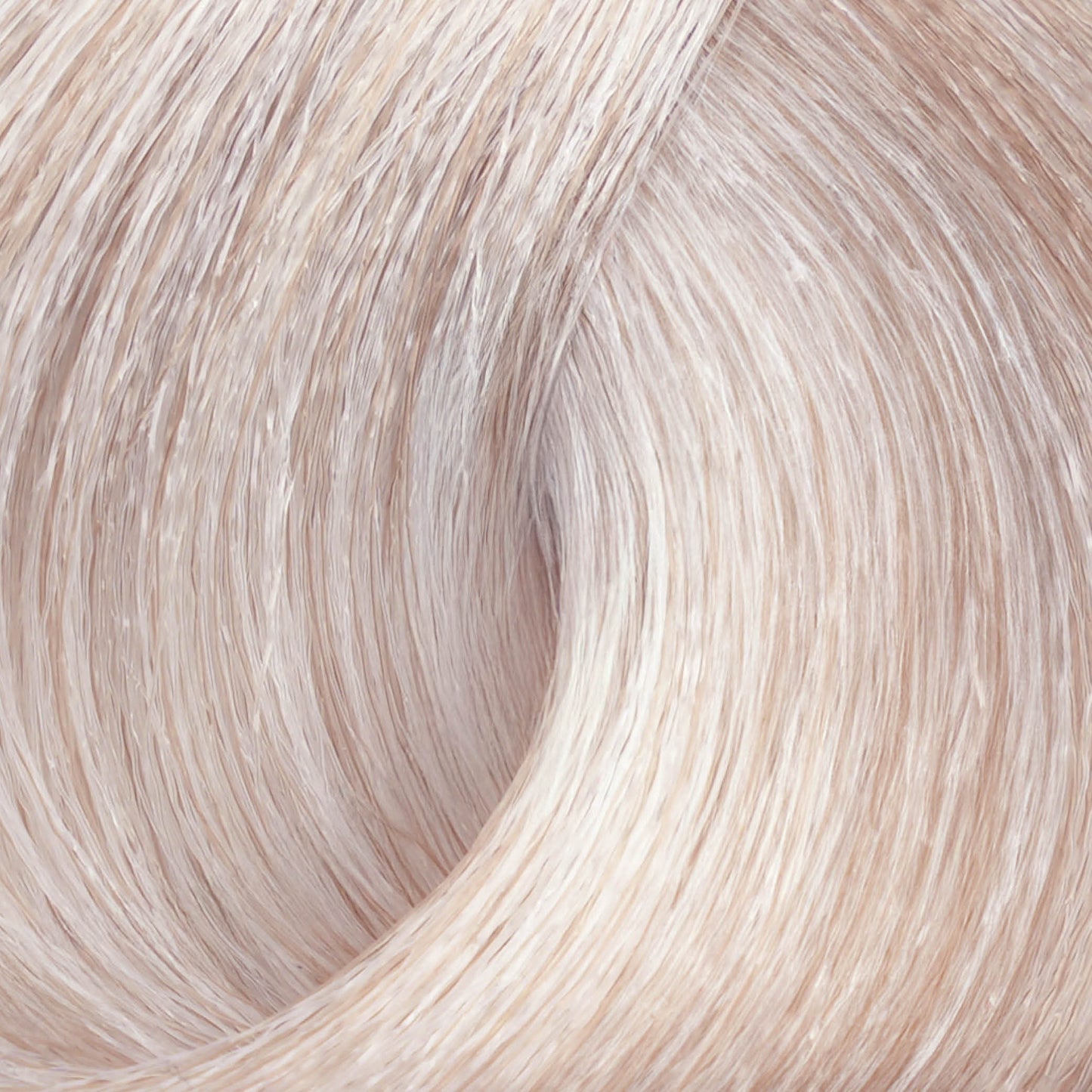 Harvest Colour 100ml