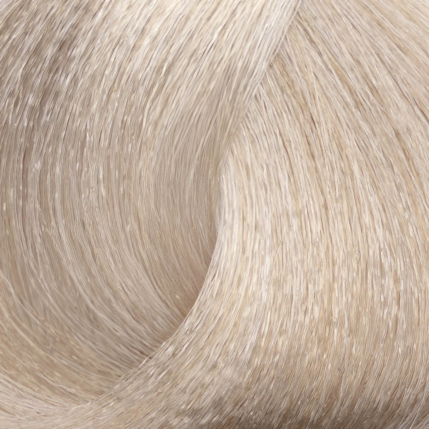 Harvest Colour 100ml