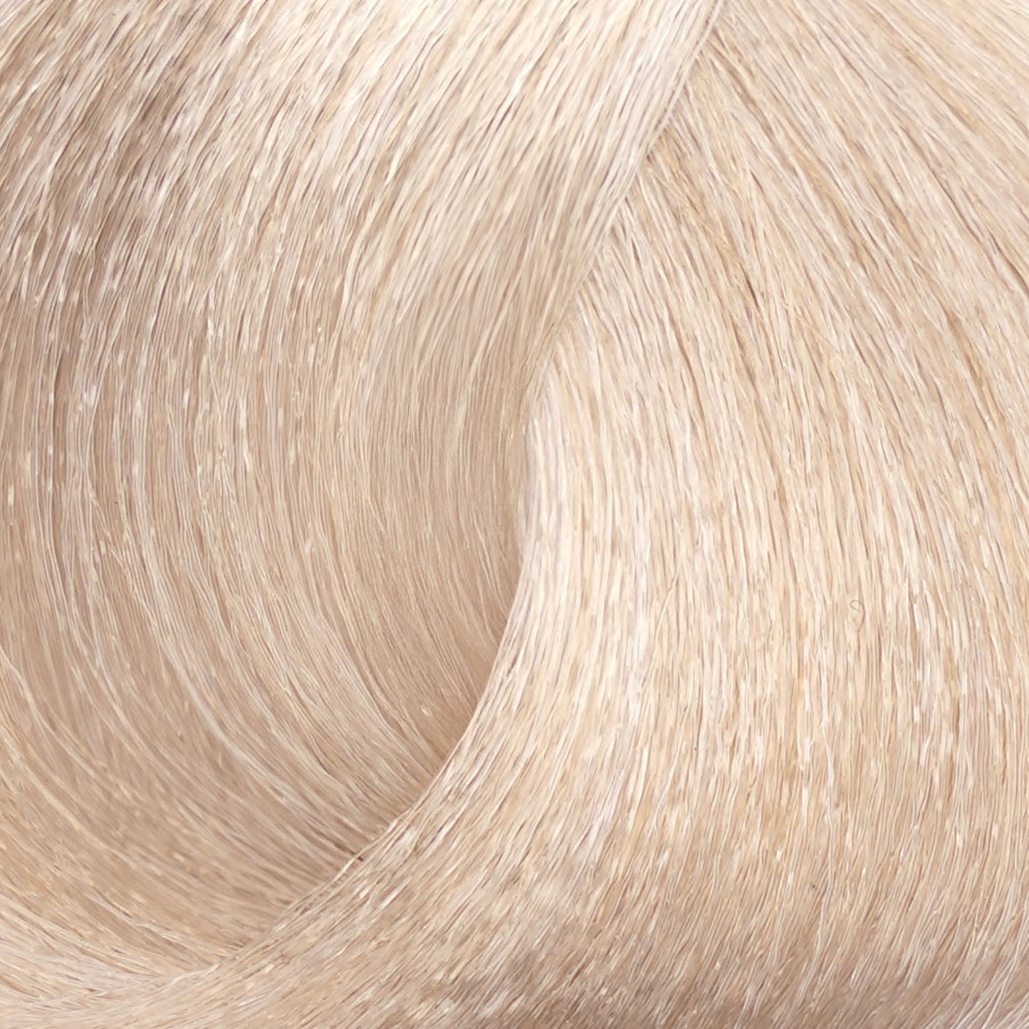 Harvest Colour 100ml