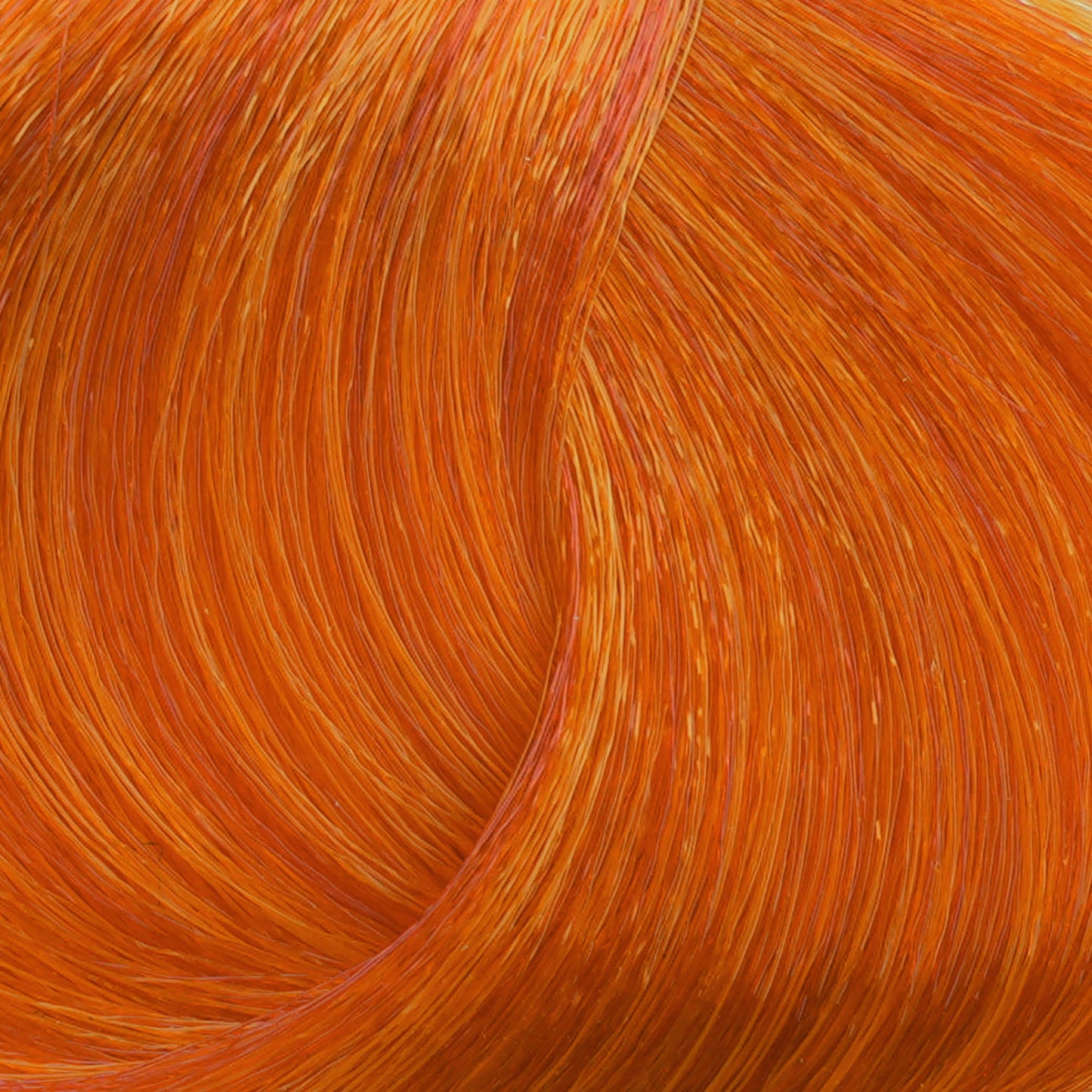 Harvest Colour 100ml