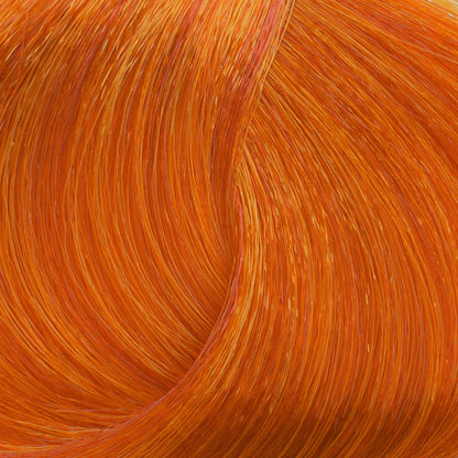 Harvest Colour 100ml