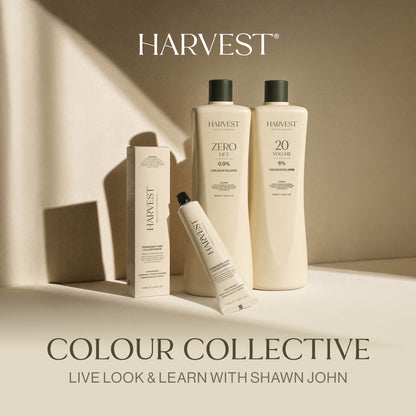Harvest Colour Collective: Live Look & Learn with Shawn John