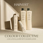 Harvest Colour Collective: Live Look & Learn with Shawn John