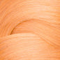 Redken Shades EQ Bonder Inside