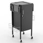 TASALON Metal Traditional Trolley