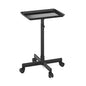 TASALON Budget Small Salon Tray With Cross Legs