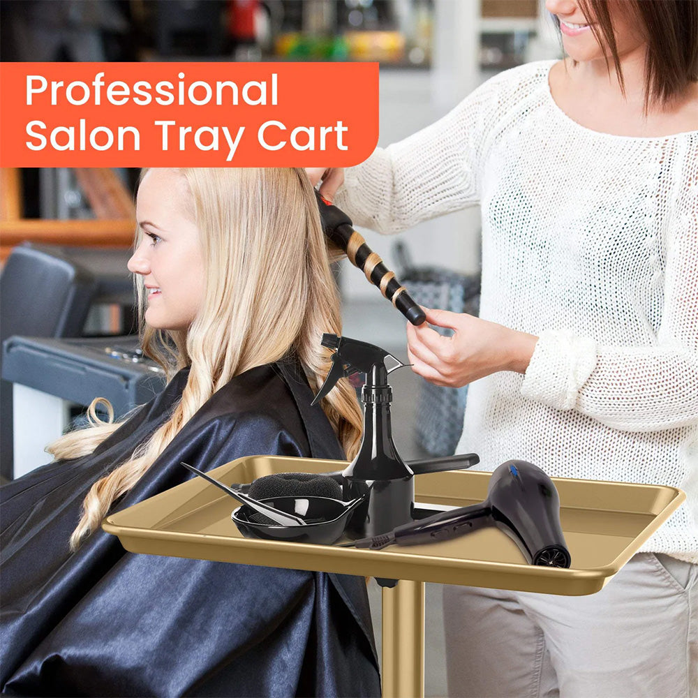 TASALON Budget Small Salon Tray With Cross Legs