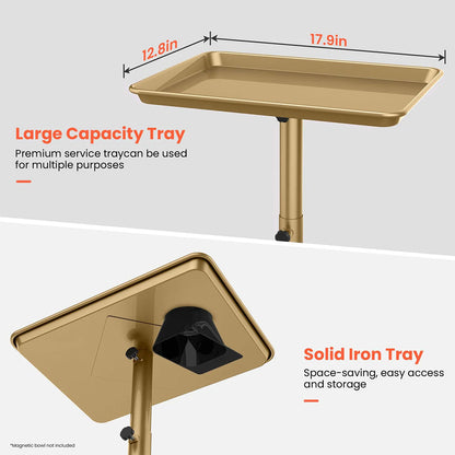 TASALON Budget Small Salon Tray With Cross Legs