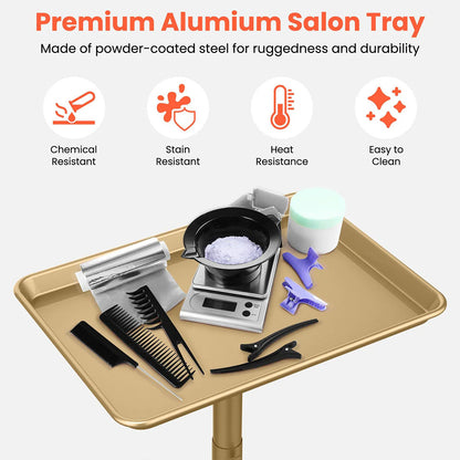 TASALON Budget Small Salon Tray With Cross Legs