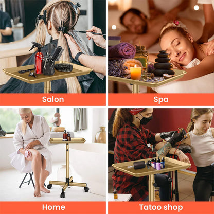 TASALON Budget Small Salon Tray With Cross Legs
