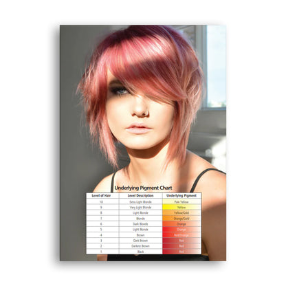 Hi Lift True Shades Colour Chart