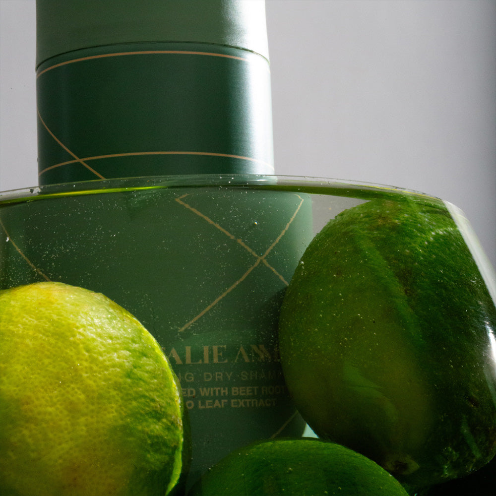 Natalie Anne Volumising Dry Shampoo 300ml - 4